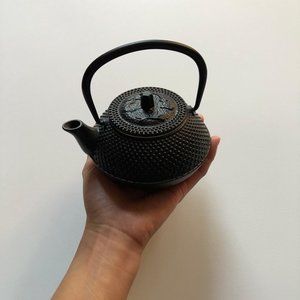 Tetsubin Cast Iron Teapot 14 oz